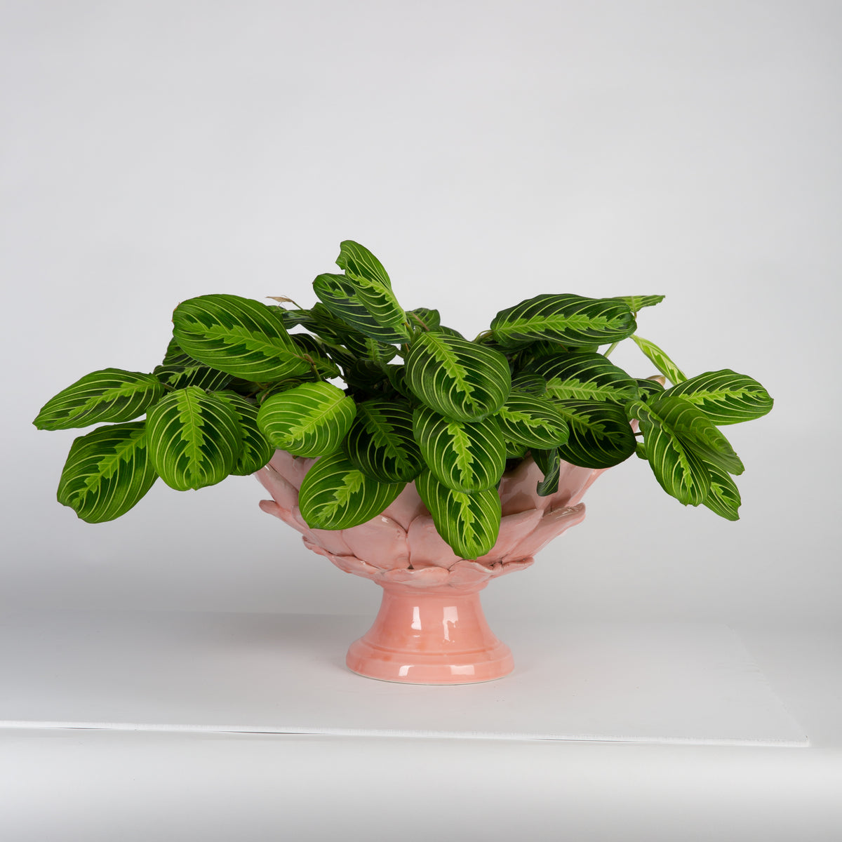 Large Leaf Pink Oval Bowl